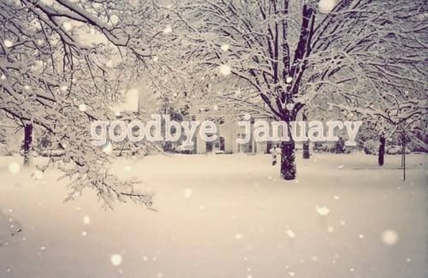 goodbye-jan