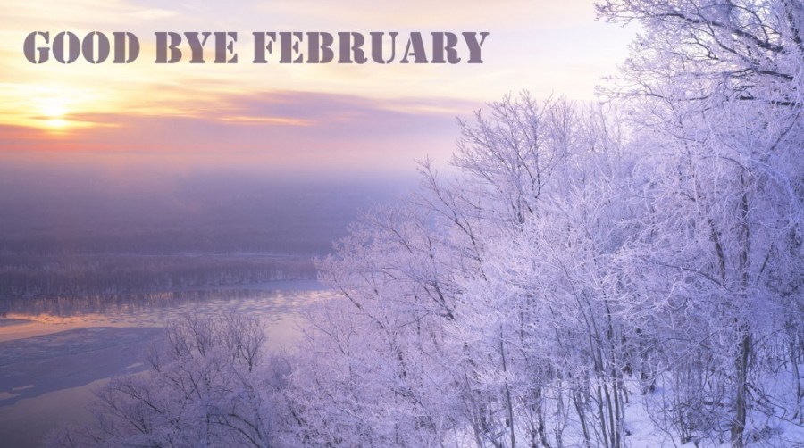 goodbye-february