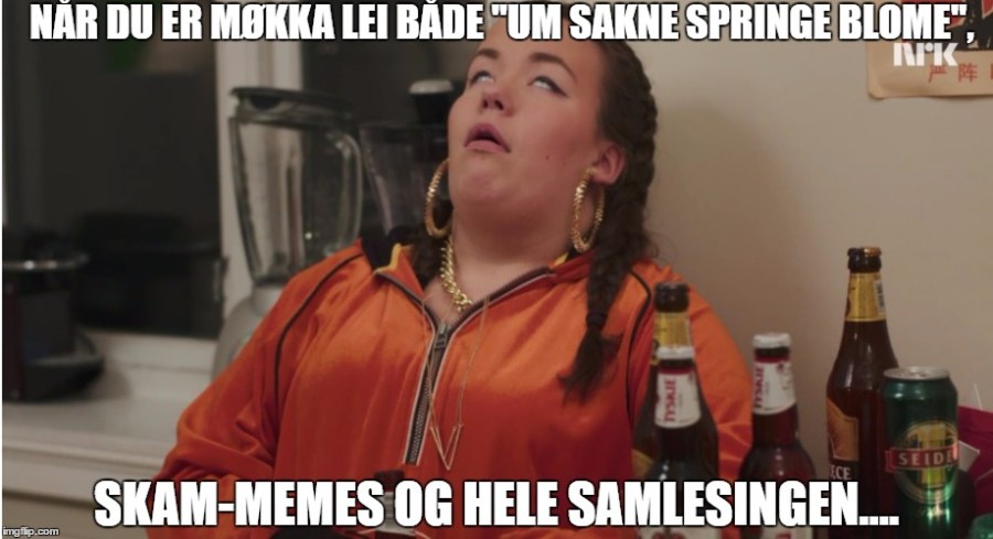 skam memes USSB