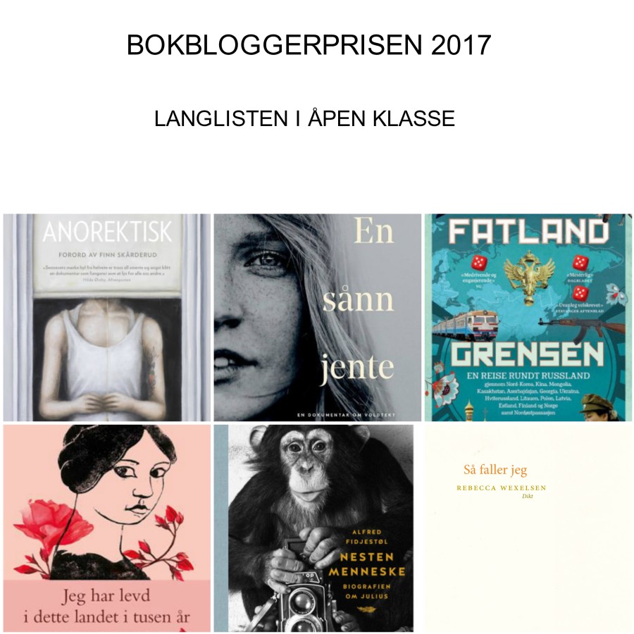 LANGLISTEN 2017 bbp ÅPEN KLASSE.jpg