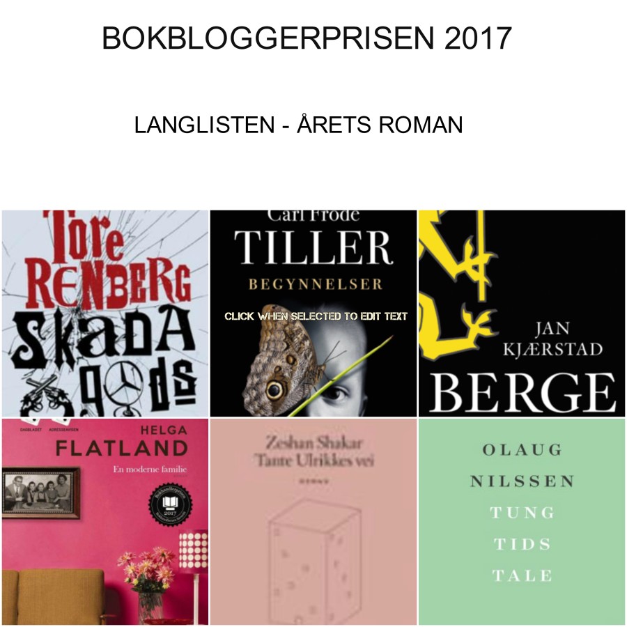 Langlisten 2017 BBP roman