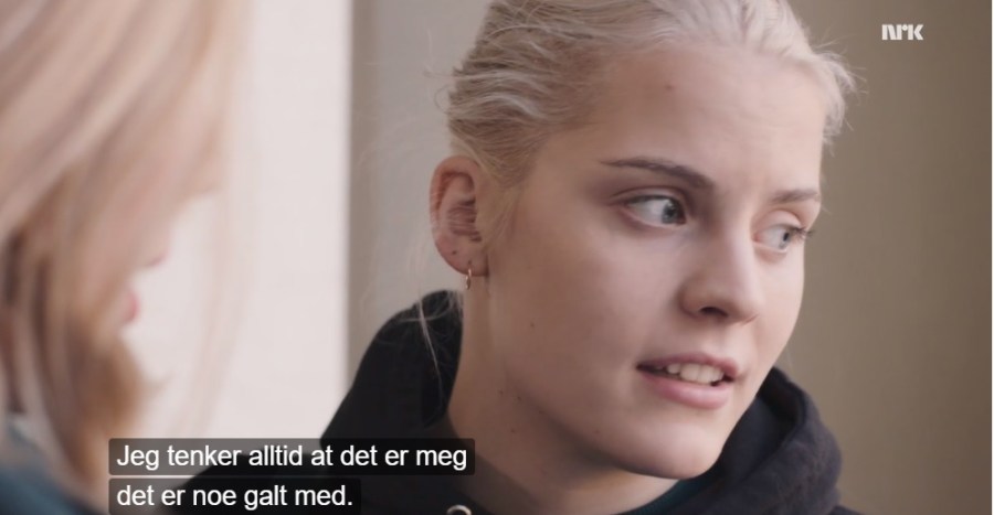 vilde omlette norvegienne