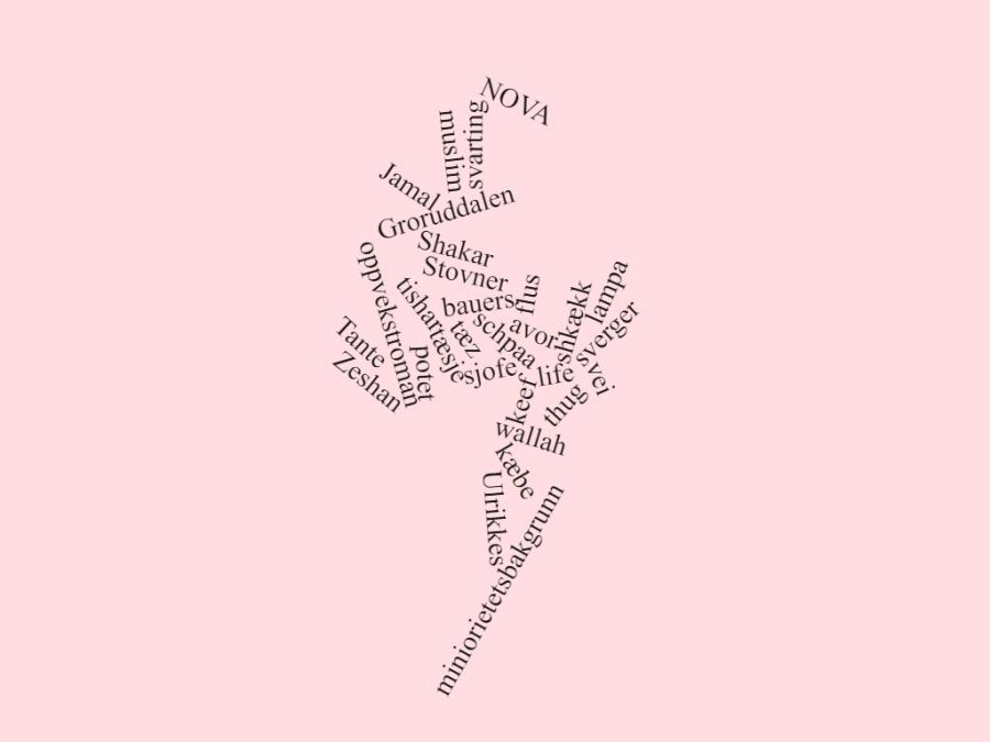 wordcloud T.U.V Endelig