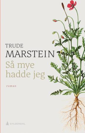 så mye hadde jeg.jpeg